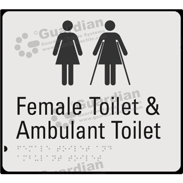 Product photo: Female Toilet & Female Ambulant in Silver (210x190mm) with Black Border [GBS-02FAAT-SV-WB]