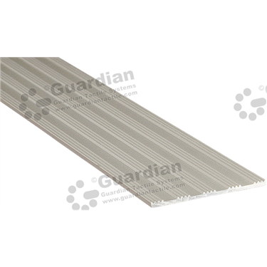 Aluminium Striped Strip in Silver (3x50mm) [GSN-02STS-SV]